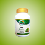 0000573_zandu-giloy-tablets-60-tablets_550.png